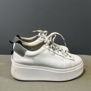 Ash Sneakers White Platform with Silver back